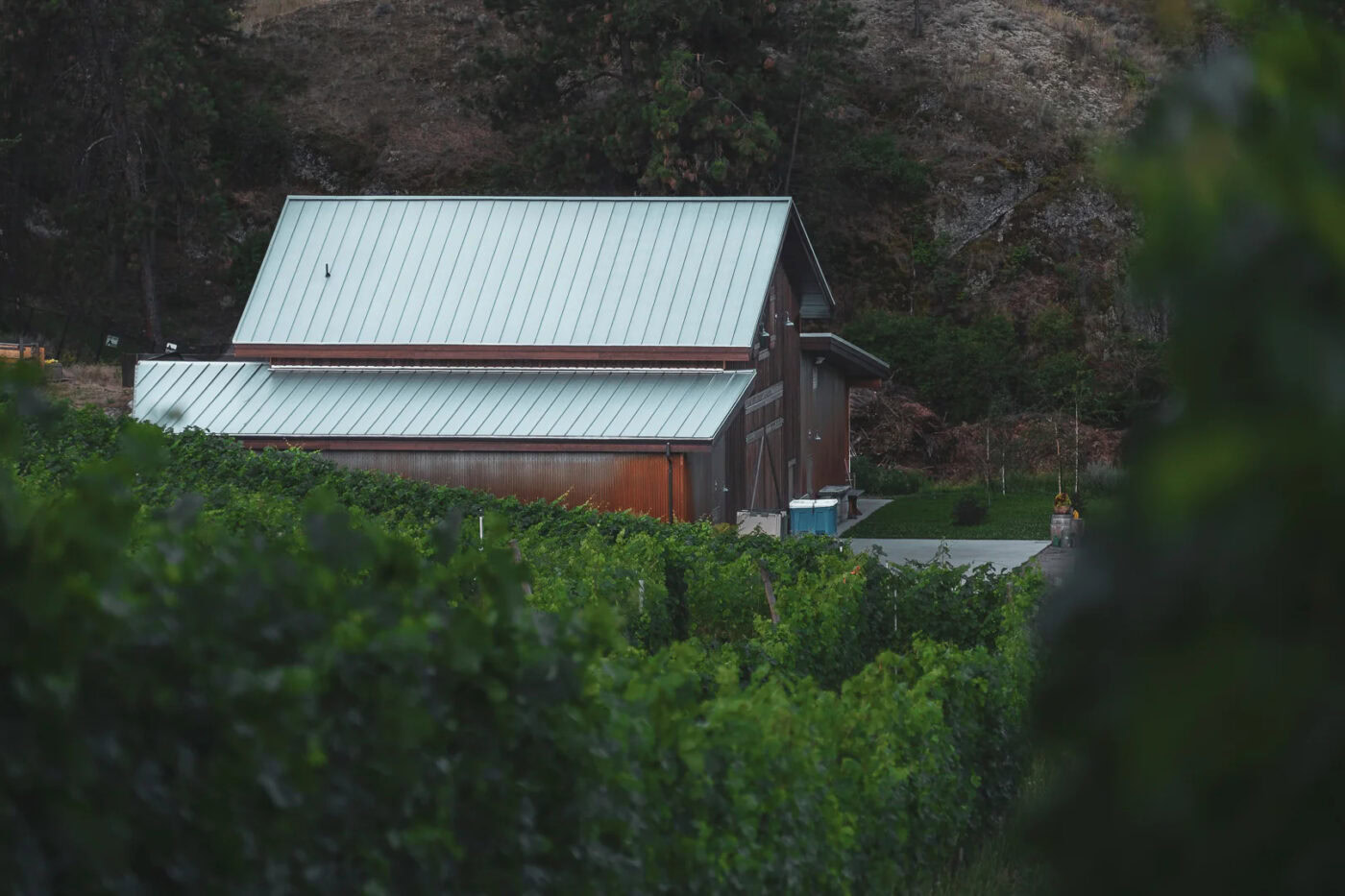 Scenic view of Echo Bay Vineyard barn surrounded by lush grapevines and hillside landscape.
