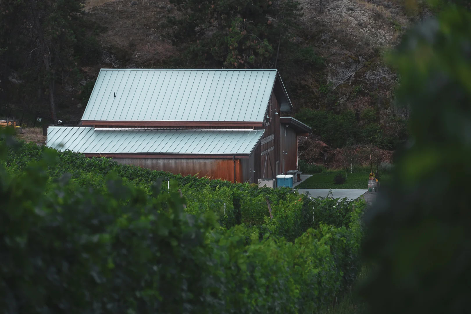 Scenic view of Echo Bay Vineyard barn surrounded by lush grapevines and hillside landscape.